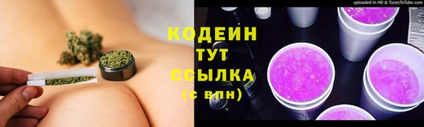 шишки Баксан
